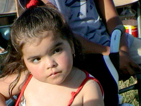 Click en la im&aacute;gen para ir al Indice de la secci&oacute;n